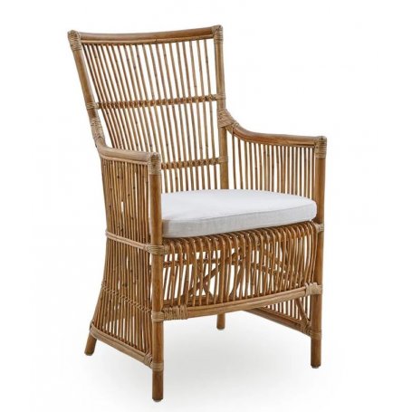 Rottinkinen Davinci tuoli